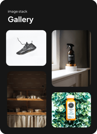 Gallery & asset management